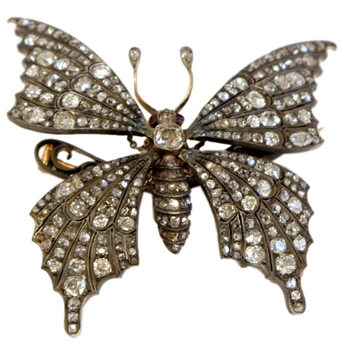 Antique Butterfly Brooch